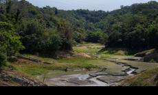 Въглеродният диоксид трае векове – това трябва да важи и за въглеродните компенсации