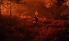 Пожарите в Гърция са резултат от изменението на климата - и Европа се готви за още