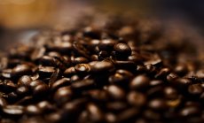 Недостигът на кафеени зърна повишава цената дори на най-евтината чаша кафе 