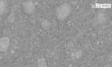 Да картографираш човешкия мозък, част 7