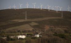 Селските райони на Испания избират виното пред вятърните паркове