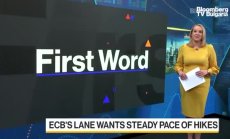 Филип Лейн призова за стабилни темпове на покачване на лихвите