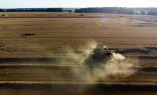 Инфлацията при храните отслабва, но неясната реколта задържа цените високи