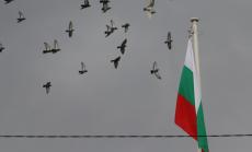 МРРБ удължи срока за одобрение на инвестиционни проекти за достъпна среда 