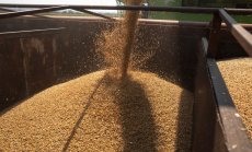 Достигна ли инфлацията пик? Един от основните ѝ източници вече отслабва 