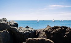 Войната и климатичните промени заплашват крехката екосистема на Черно море