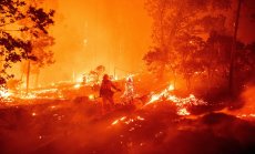 Огромните пожари из целия свят предвещават тревожна тенденция