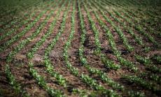 ЕК одобри българската схема за 29 млн. евро в подкрепа на земеделски стопани