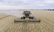 Суша принуждава САЩ да прибегнат към рядко срещан ход - внос на пшеница от Европа