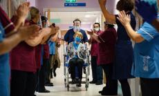 Позитивните новини, които може би пропуснахте тази година