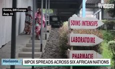 Какво трябва да знаем за епидемията от маймунска шарка?