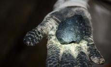 Ралито при акциите на компаниите за добив на платина в Южна Африка набира инерция 