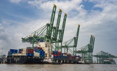 Търговският натиск на САЩ замъглява икономическите перспективи на Индия 