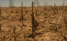 Светът тихомълком губи земята, която му е необходима, за да се изхранва