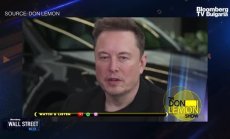 Вълшебството на гъбите