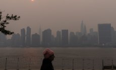 Българският бизнес не разбира климатичните рискове, а те ще разтърсят икономиката