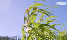 Ще има ли най-после доставки с дронове, част 2