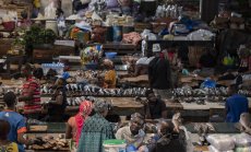 Емитентите с рейтинг "Junk" очакват част от $64 млрд. от продажбите в развиващи се пазари