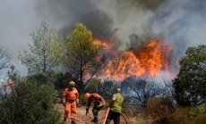 Горещото лято в Средиземноморието е довело до рязък скок в смъртността 