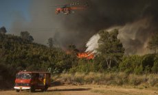 Лято 2025 поднася по-малко валежи, което повишава риска от пожари