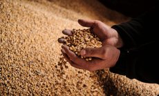 Украинското зърно е необходимо - но не в Източна Европа