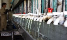 Европа възпира китайския биодизел с въвеждане на мита