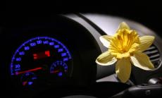 Какъв е последният шанс на VW?