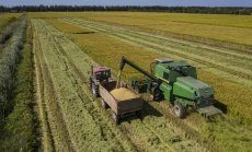 Китай се бори с най-лошите условия за отглеждане на реколта в историята