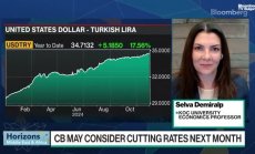 Демиралп: Икономическите проблеми на Турция са от стари грешки: част 2