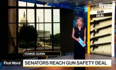 Сенатът се готви да приеме закона за оръжията