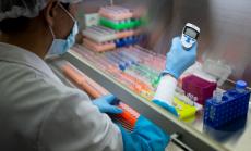 330 са новите случаи на коронавирус у нас при направени 6183 PCR теста