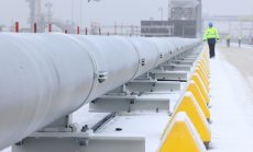 Как Европа избегна най-лошото, когато Путин спря руския газ