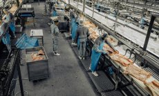 Разследването на свинското в Китай е нов удар на фермерите от ЕС