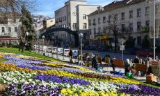 Испански архитекти - урбанисти с проект за центъра на Велико Търново