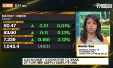 Амрита Сен за петрола, част 2