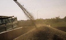 Украинците засяват по-малко зимна пшеница, а това заплашва продоволствената сигурност