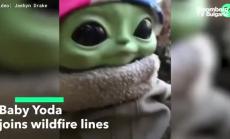 Бебето Йода помага в борбата с горските пожари