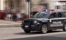 Картелите на авокадо ли убиха пеперудата-монарх, част 6