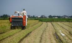 Земеделската земя в България е поскъпнала двойно за пет години