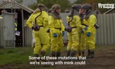 Дания забрани отглеждането на норки