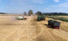 Алтернативите за износ на украинско зърно предизвикват напрежение в Европа