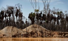 Нелегалният добив на пясък е по-печеливш дори от трафика на наркотици в Южна Америка