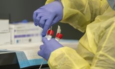 Омикрон може да е взел част от вируса, който причинява обикновената настинка