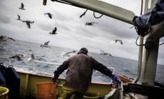 Великобритания направи първия си компромис в преговорите с ЕС