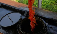 Опасността от инфлация на храните намалява след спада на цените на зърнените храни 