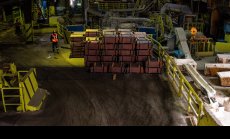 Бичият бяг на медта се превръща в разгром, тъй като митата започват да се усещат