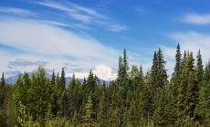 Пукнатините на българския туризъм