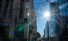 В Twitter Мъск обяви, че си е намерил наследник