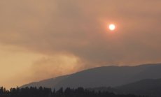 Годината беше белязана от климатични бедствия, но поставяме и рекорди в декарбонизацията