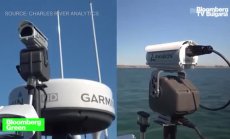 Как се използва AI за спасяване на китовете